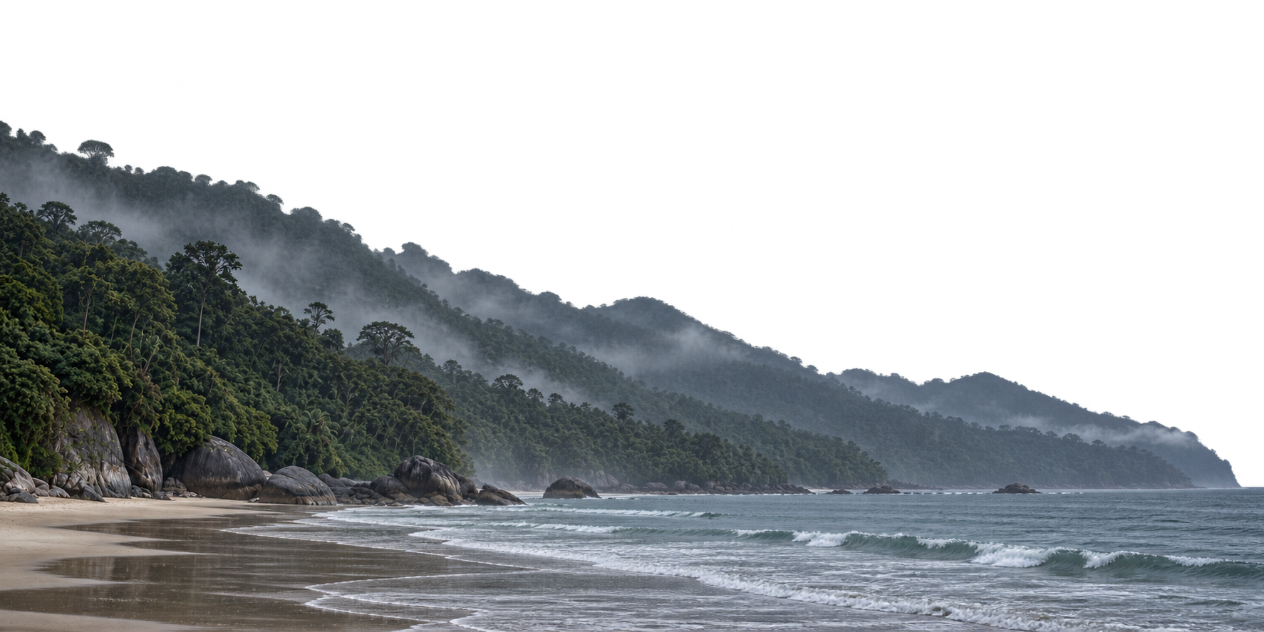 Misty rainforest hills, granite boulders and a quiet ocean shoreline.