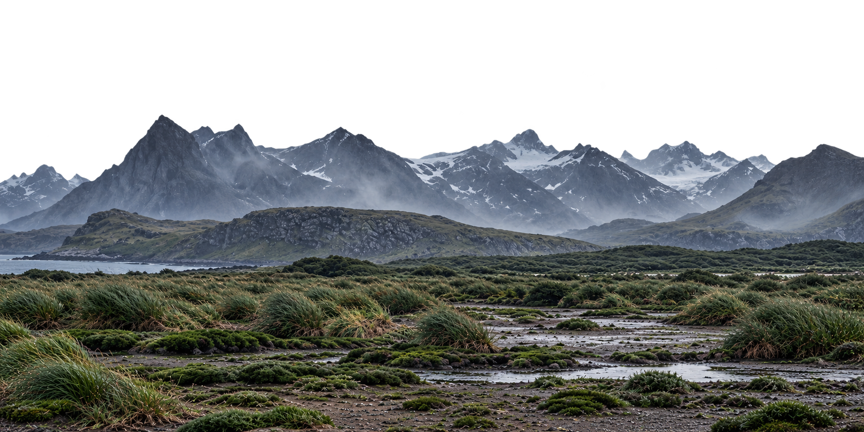 Wet grassy tundra and rocky headlands beneath misty, snow-streaked glacial peaks.